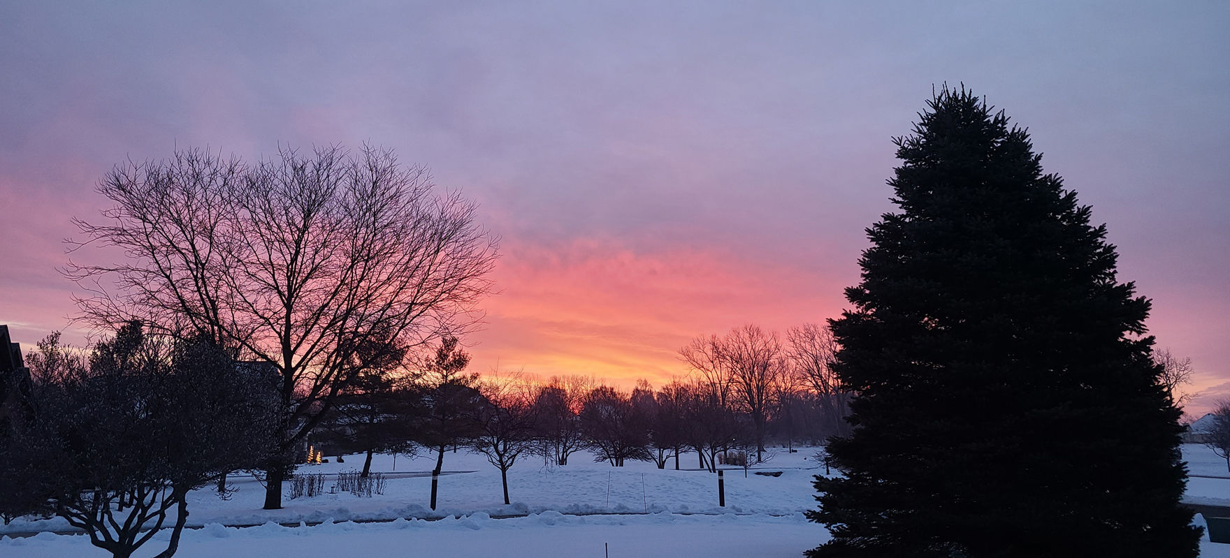 012021-kn-en-photooftheday